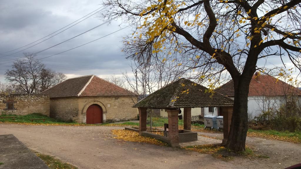 Country House Dunjin Konak Rogljevo エクステリア 写真