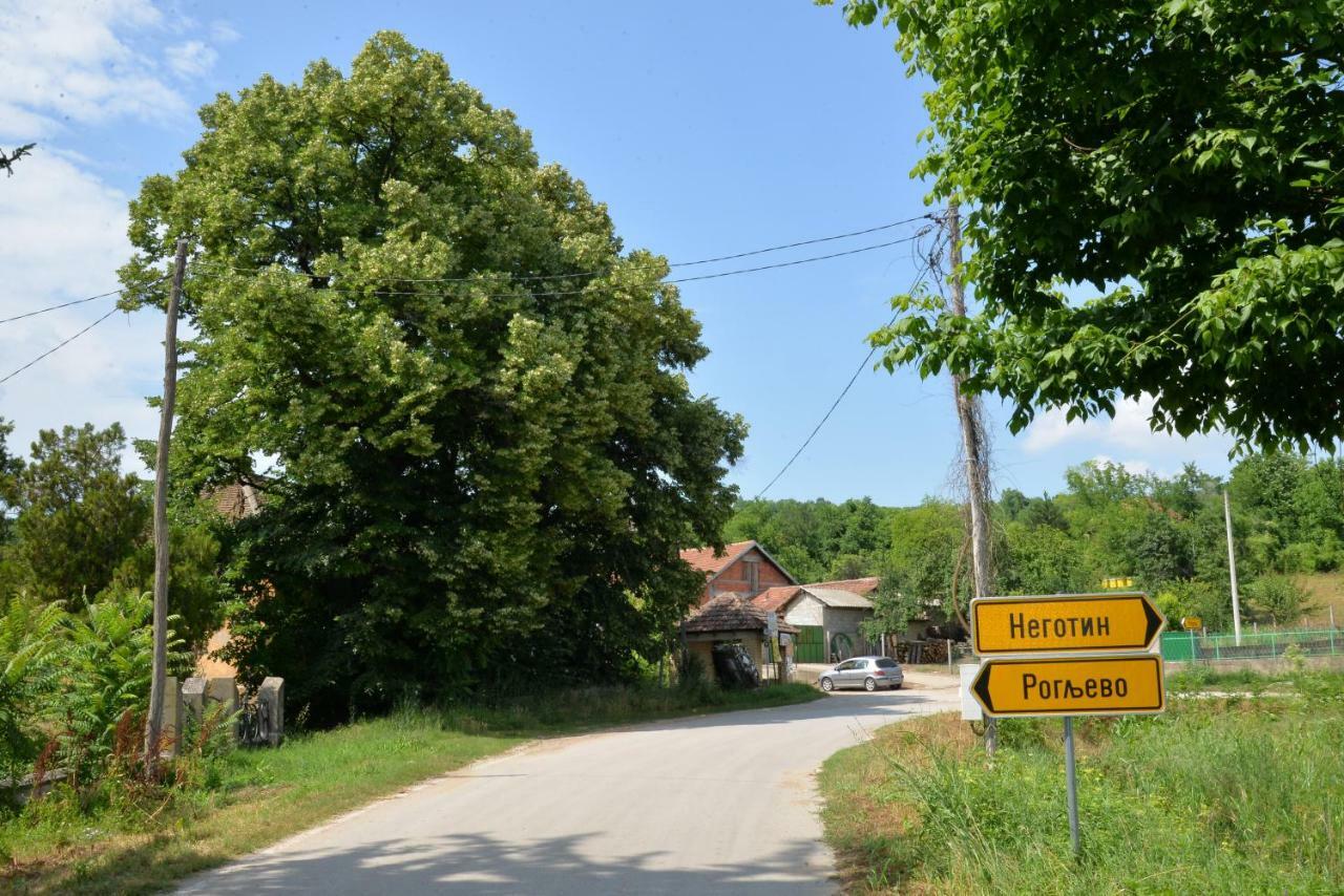 Country House Dunjin Konak Rogljevo エクステリア 写真