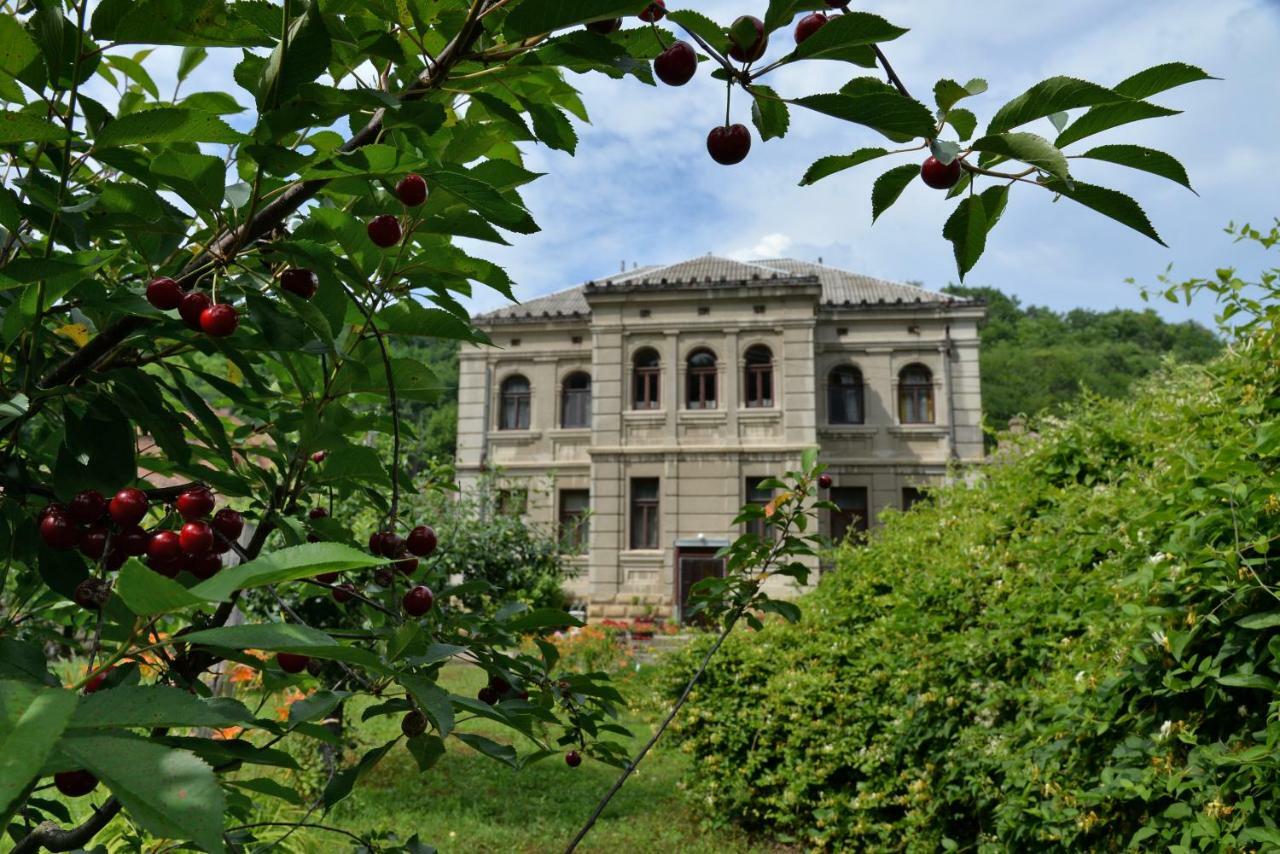 Country House Dunjin Konak Rogljevo エクステリア 写真
