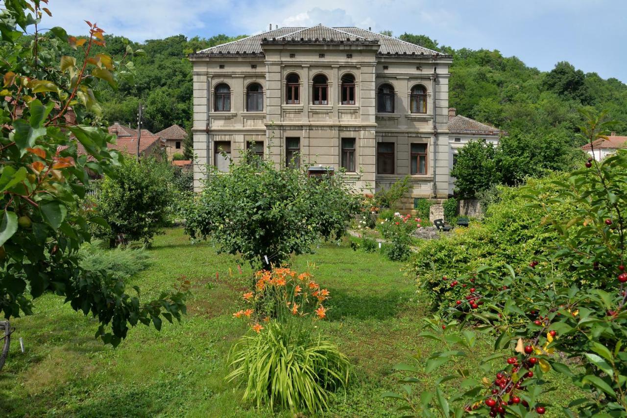 Country House Dunjin Konak Rogljevo エクステリア 写真