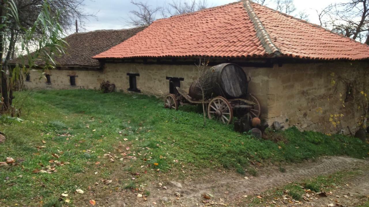 Country House Dunjin Konak Rogljevo エクステリア 写真