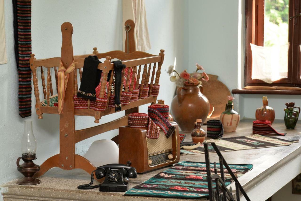 Country House Dunjin Konak Rogljevo エクステリア 写真