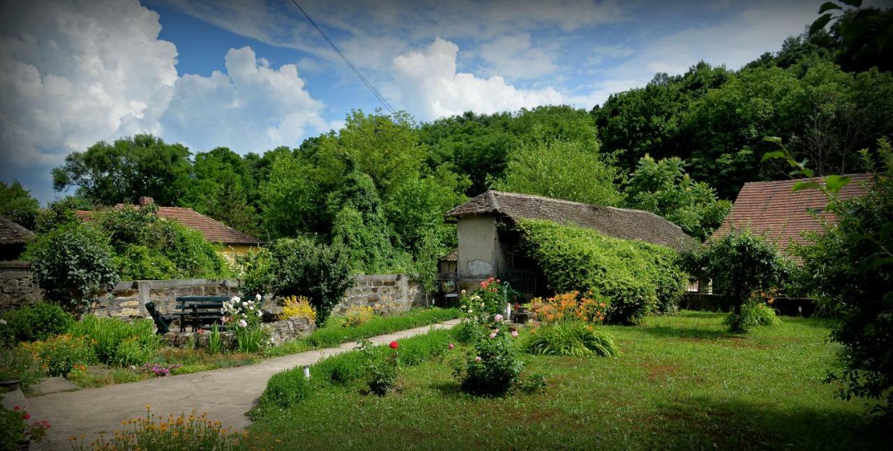 Country House Dunjin Konak Rogljevo エクステリア 写真